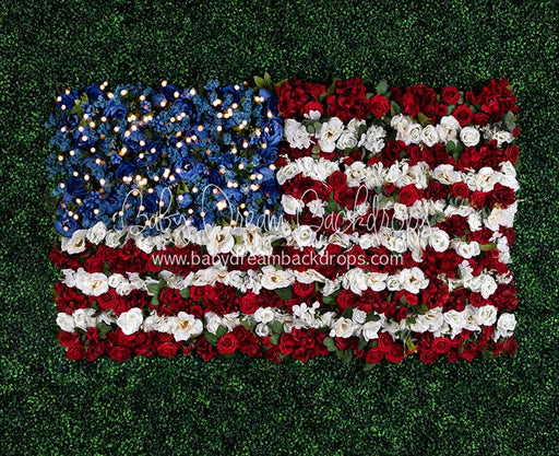 Boxwood Beauty USA (Lights)