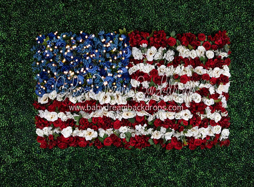 Boxwood Beauty USA (Lights)