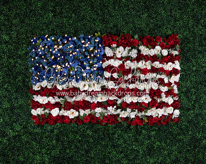 Boxwood Beauty USA (Lights)