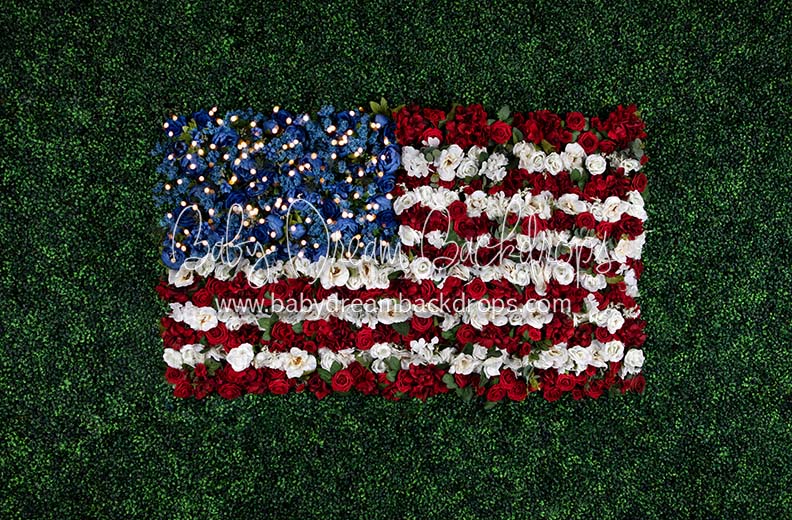 Boxwood Beauty USA (Lights)