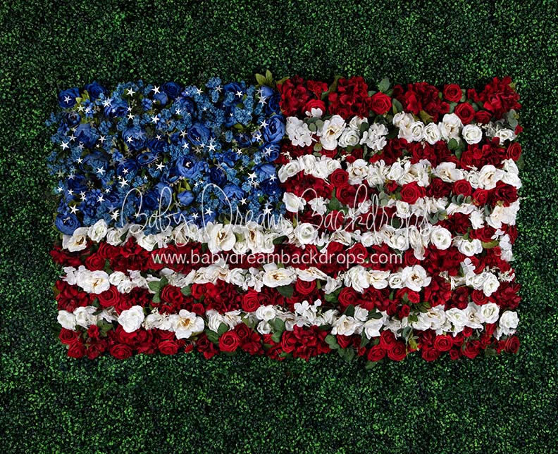 Boxwood Beauty USA (Stars)