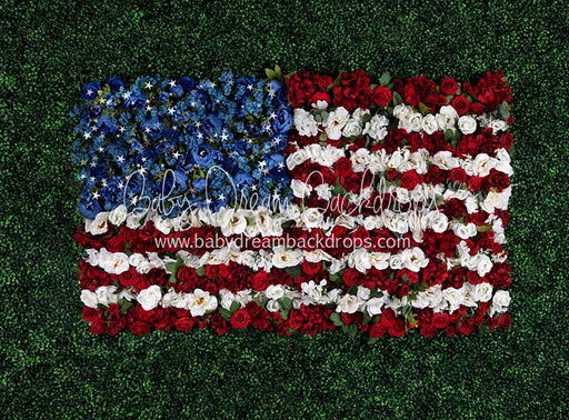 Boxwood Beauty USA (Stars)