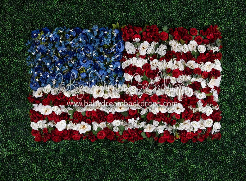 Boxwood Beauty USA (Stars)