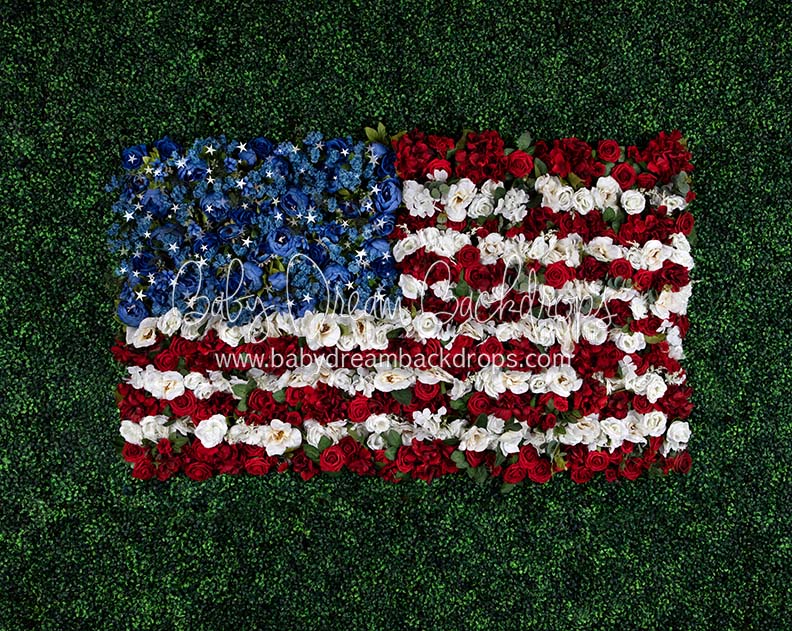 Boxwood Beauty USA (Stars)