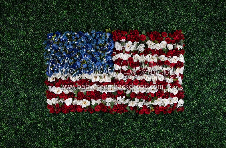 Boxwood Beauty USA (Stars)