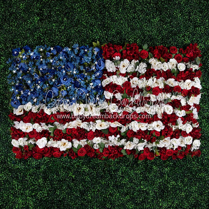 X Drop boxwood beauty usa stars