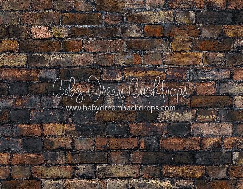 Brick Baby Bandit Floor