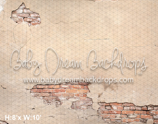 Brick Plaster Brick Series (VR)