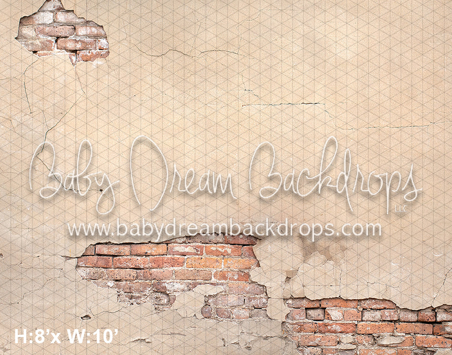 Brick Plaster Wall (VR)
