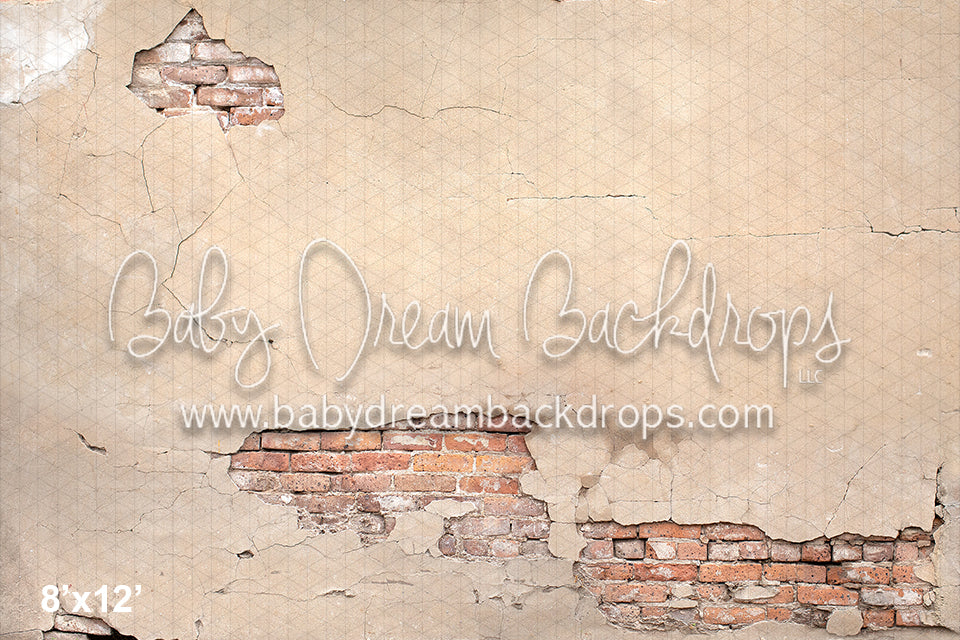 Brick Plaster Wall (VR)