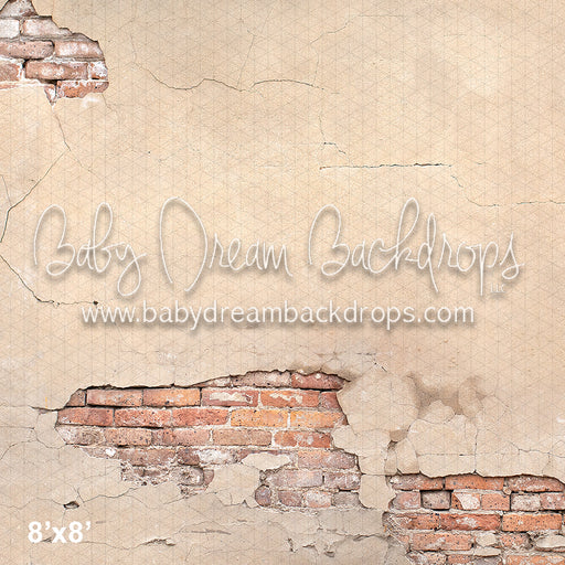 Brick Plaster Wall (VR)