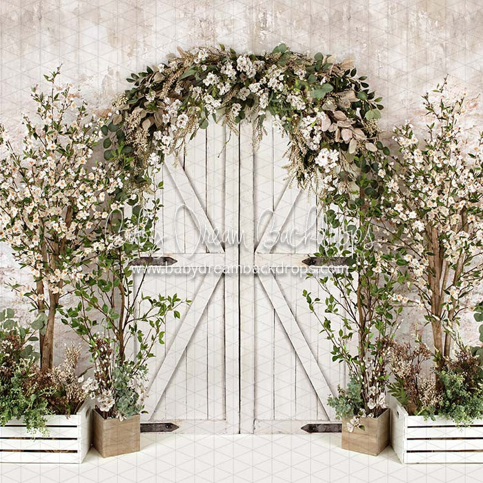 X Drop bright side of spring