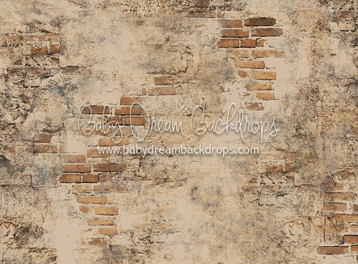 Brooklyn Brick - 60Hx80W - CC