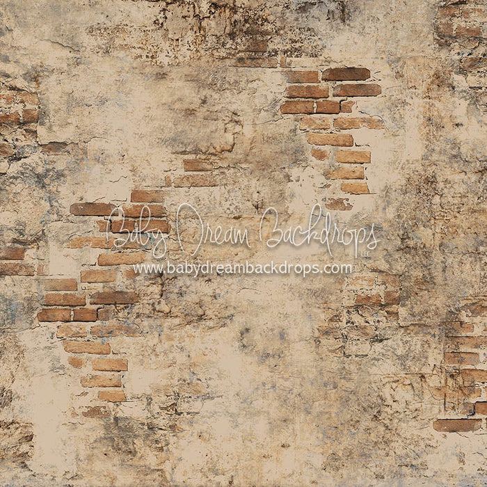 X Drop brooklyn brick