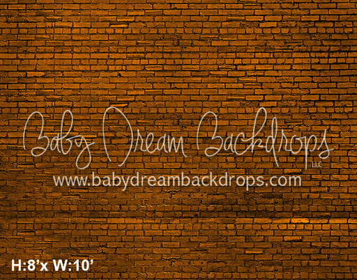 Burnt Orange Brick Wall (VR)