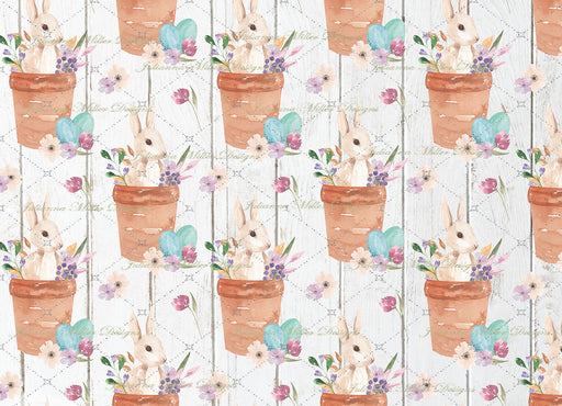 Bunny Blossom