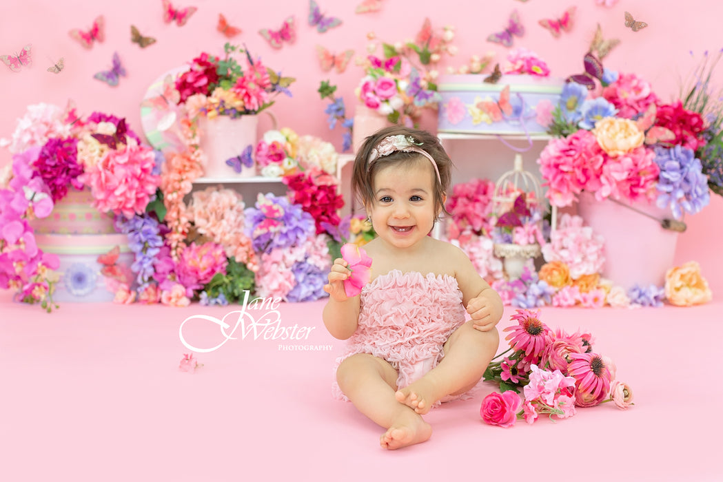 Butterfly Party (SD)