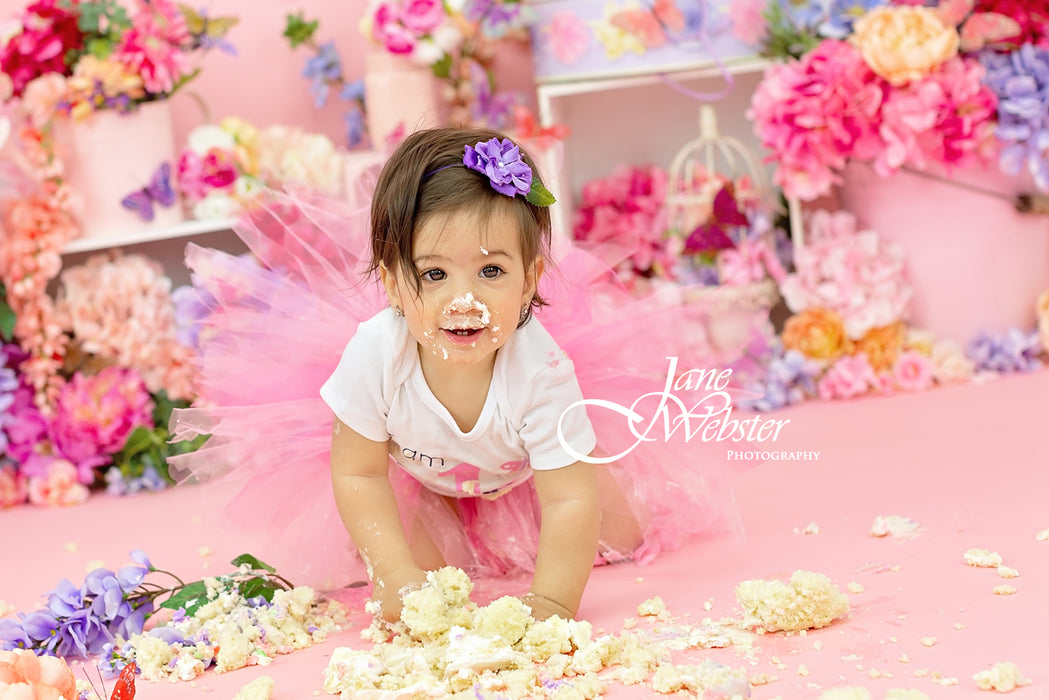 Butterfly Party (SD)