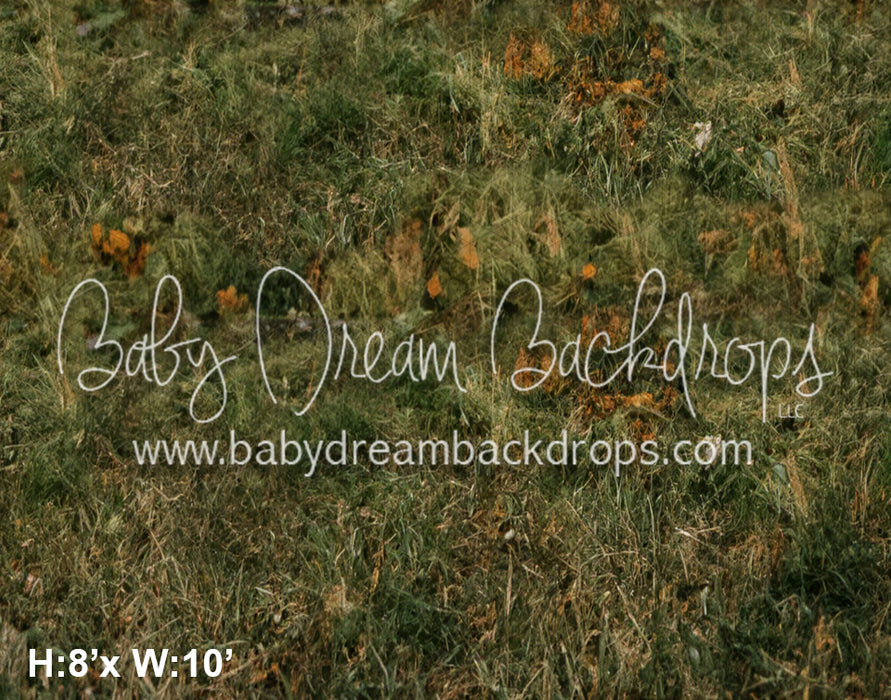 cabin in the rockies floor (LG) 