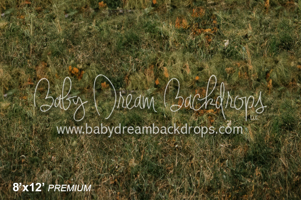 cabin in the rockies floor (LG) 