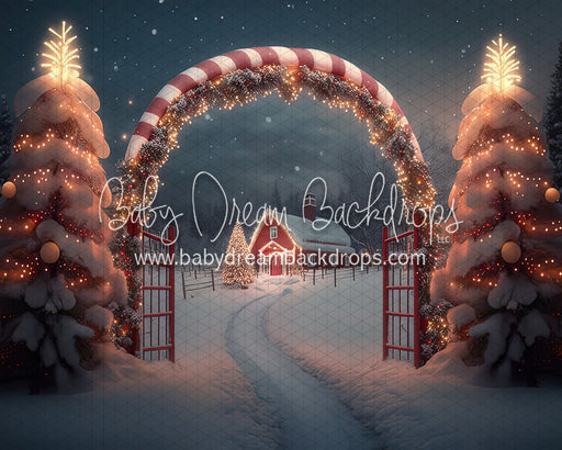 Candy Cane Grove (BD)