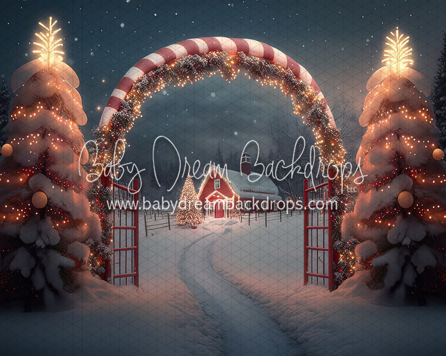 Candy Cane Grove (BD)