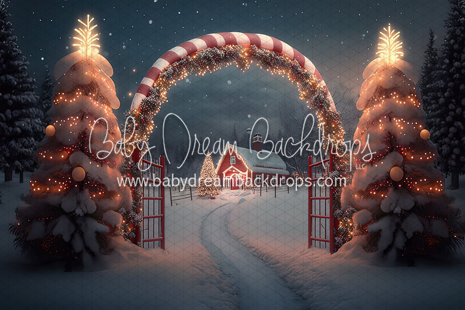 Candy Cane Grove (BD)
