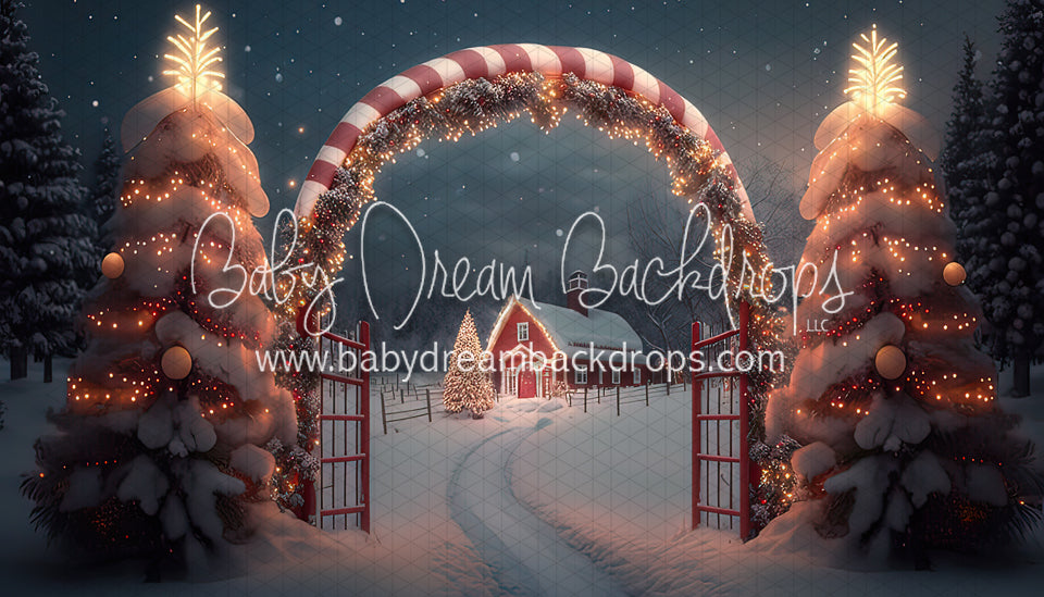 Candy Cane Grove (BD)