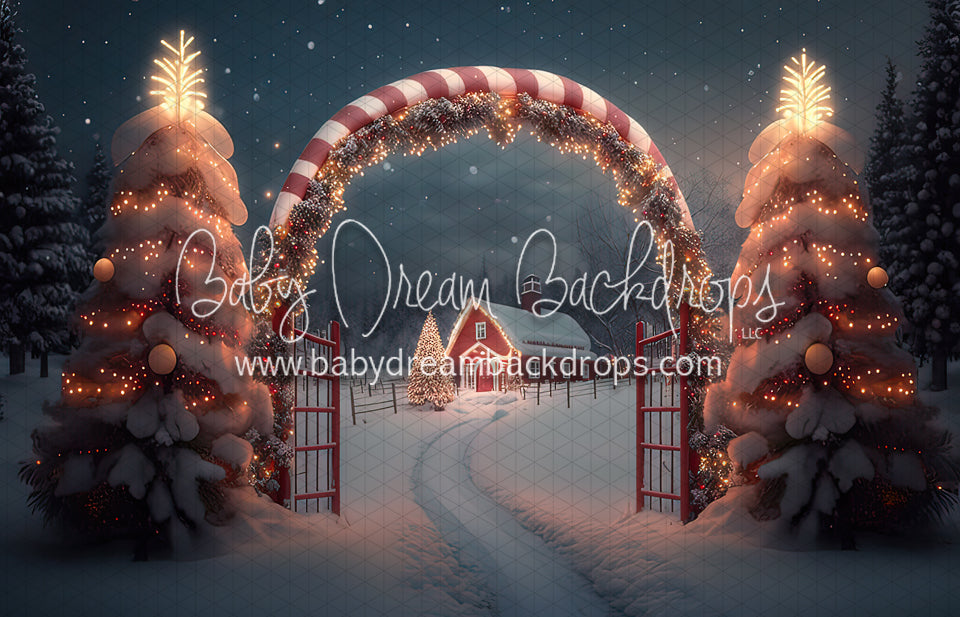 Candy Cane Grove (BD)