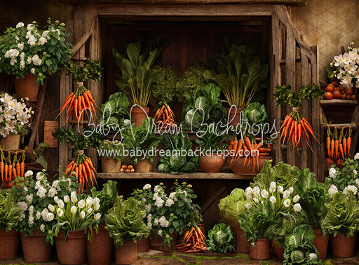 Carrot House Garden Shed (JA)