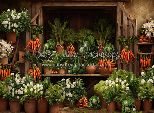 Carrot House Garden Shed (JA)