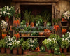 Carrot House Garden Shed (JA)