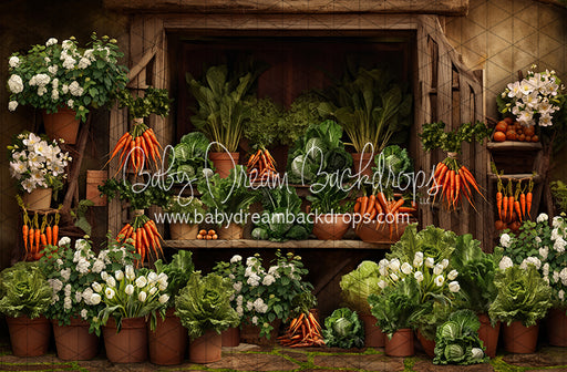 Carrot House Garden Shed (JA)