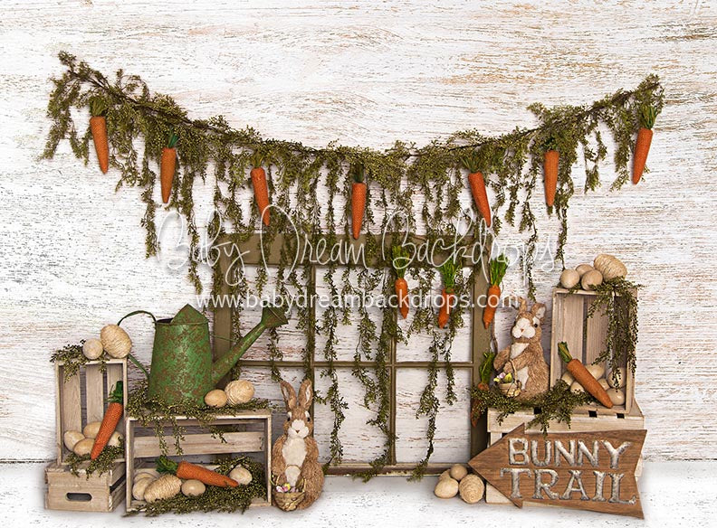 Carrot Cheer Decor 60x80 JA (Matte Fleece)