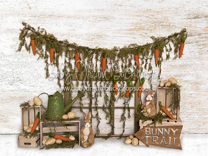 Carrot Cheer Decor 6x8 JA (Premium)
