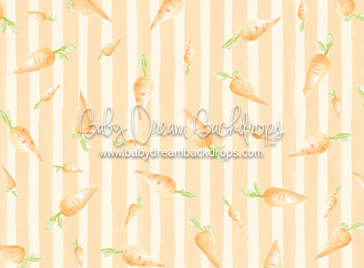 Carrot Stripe - 6x8 - CC  