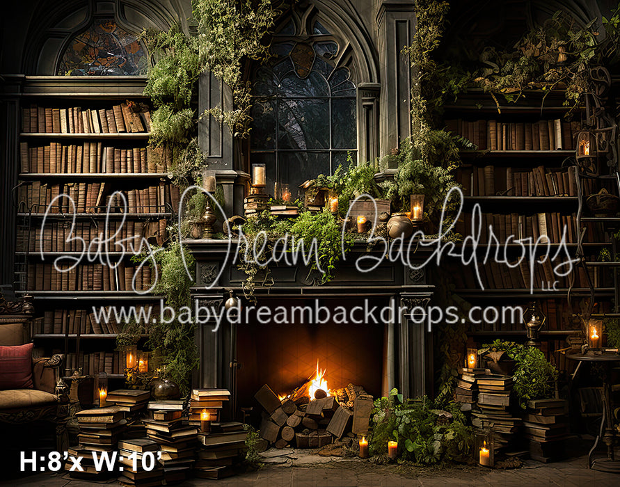 Castle Rock Library (BD)