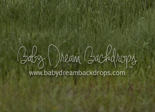 Cattle Grass Fabric Floor (VR)