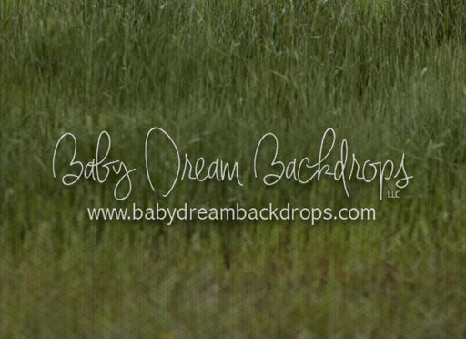 Cattle Grass Fabric Floor (VR)