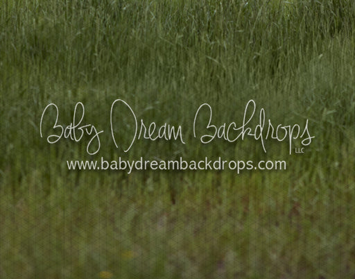 Cattle Grass Fabric Floor (VR)