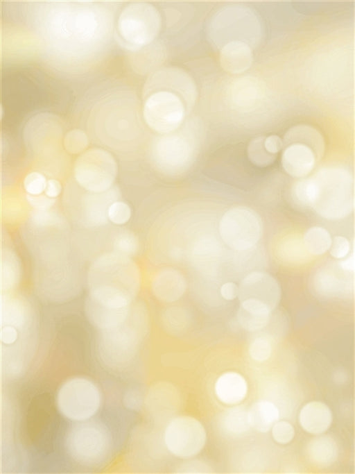 Champagne Lady - 60x80  