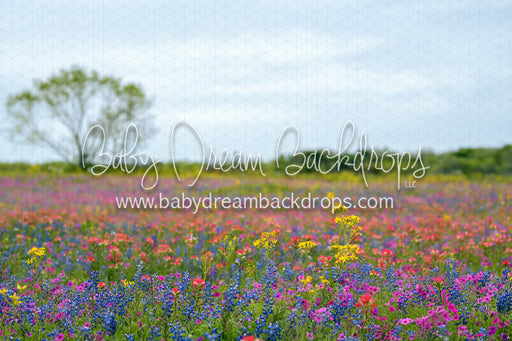 Chasing Wildflowers 2 (BD)