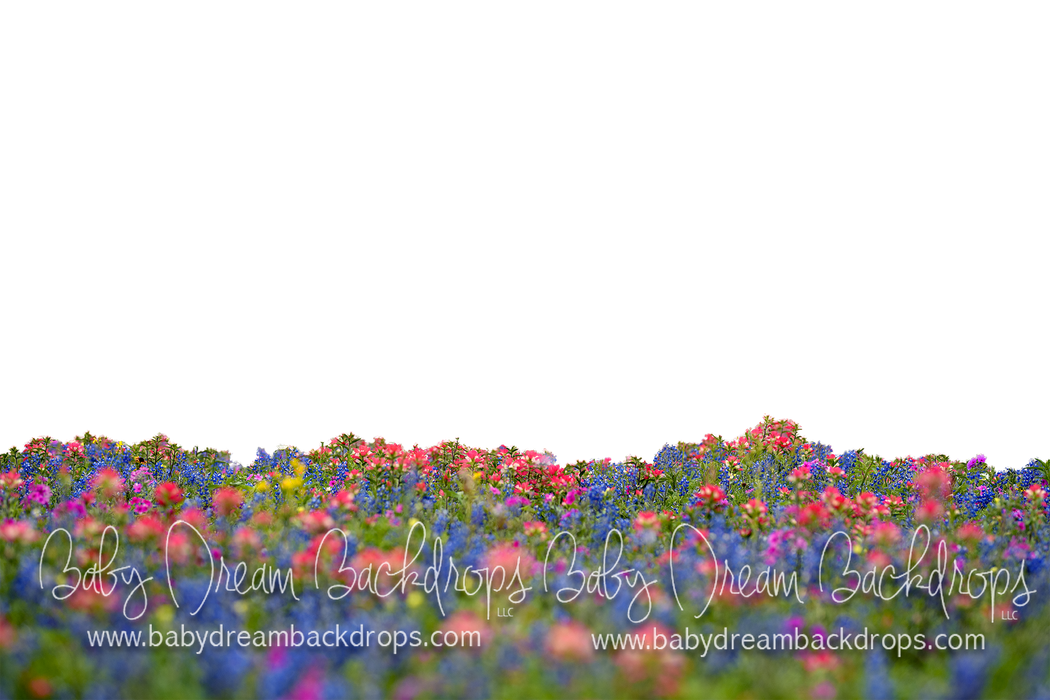 Chasing Wildflowers 2 Overlay