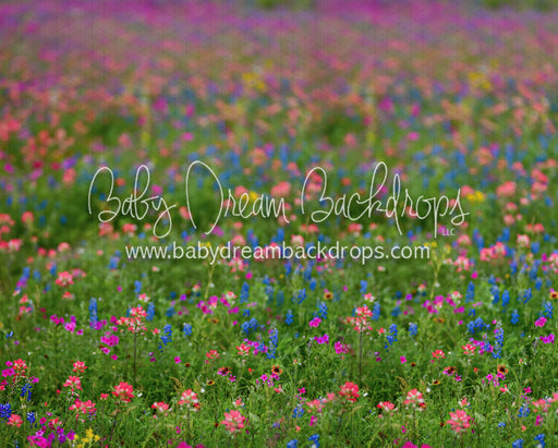 Chasing Wildflowers 3 (BD)