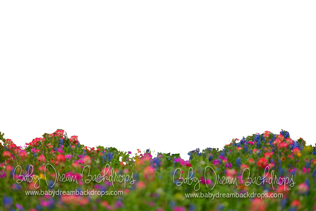 Chasing Wildflowers Overlay