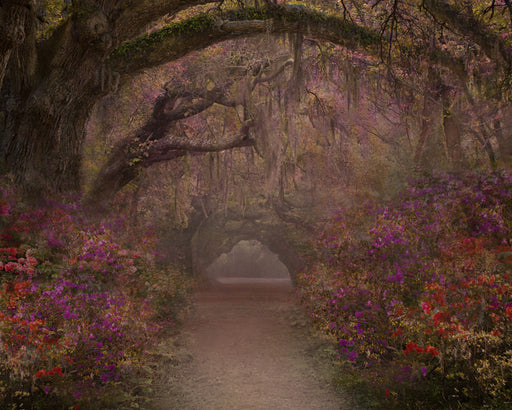 Cherish Trail - 8x10 