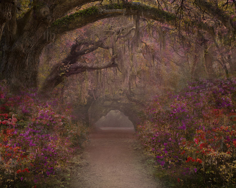 Cherish Trail - 8x10 