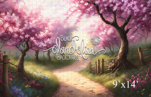 Cherry Blossom Path (VR)