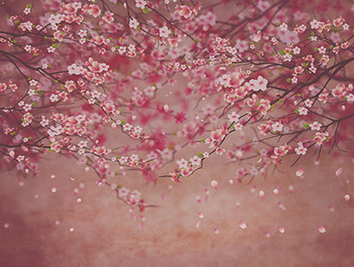 Cherry Berry 8x10 JM 