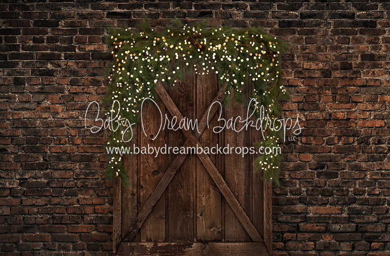 Chicago Country Door (Lights)